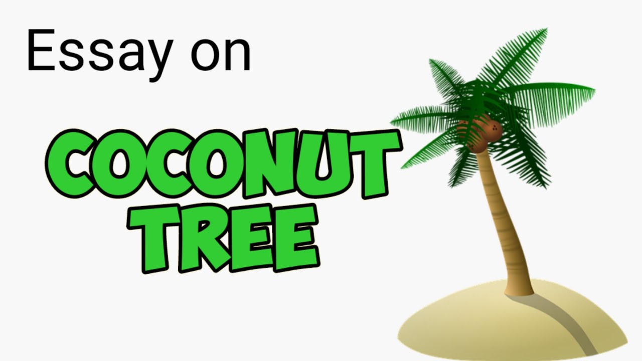 coconut tree essay in konkani