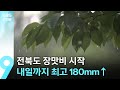 전북도 장맛비 시작…내일까지 최고 180mm↑ / KBS  2025.06.20.