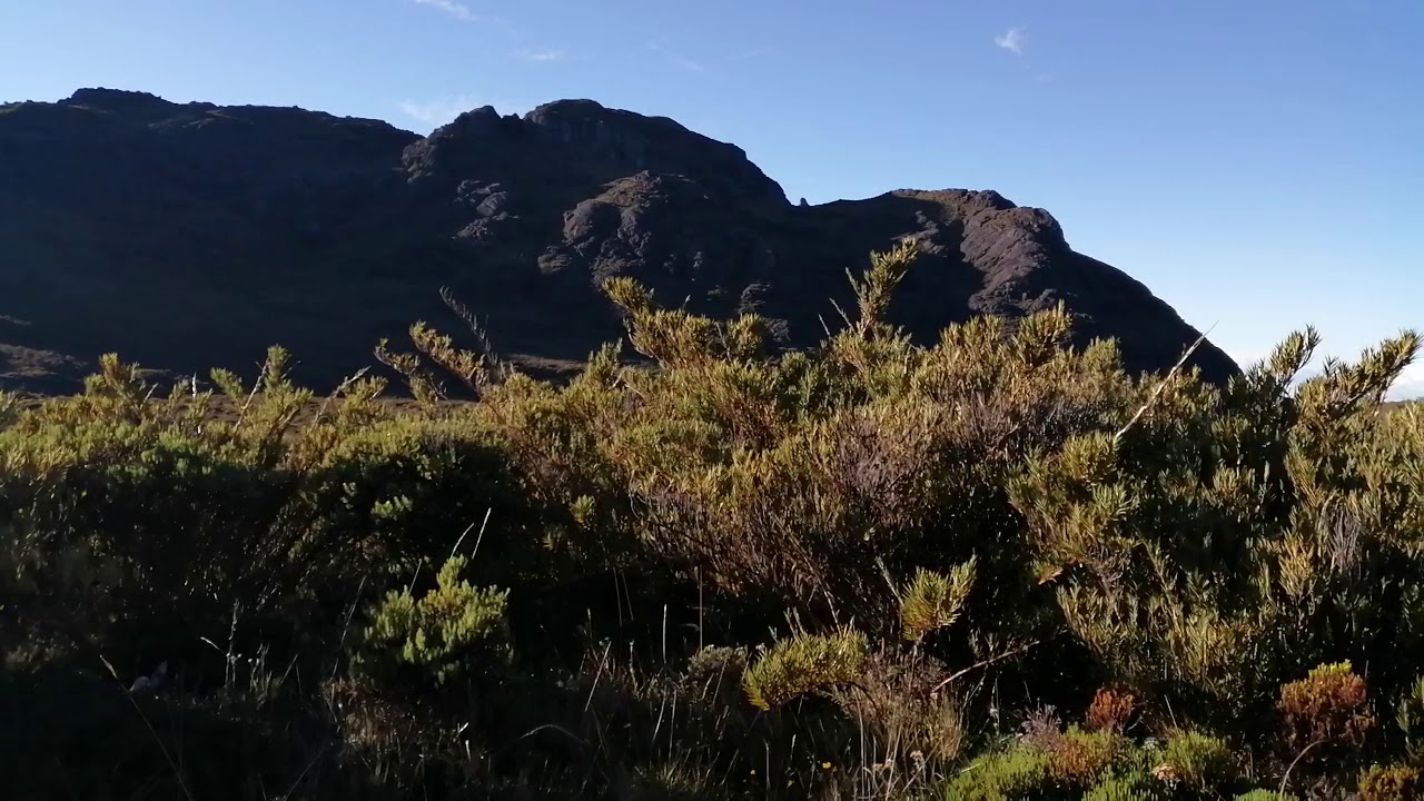 Valle de los Conejos (Rabbits' Valley) Chirripó National Park, Costa ...
