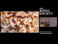 Genes to beans: polyploidy on a plate