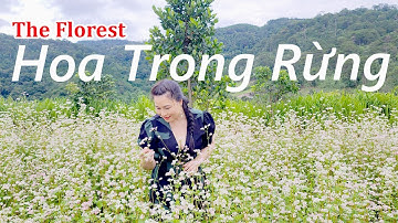 Vườn hoa mới toanh tại Đà Lạt  - The Florest -  Hoa trong rừng - Tôi Yêu Việt Nam - Tập 99