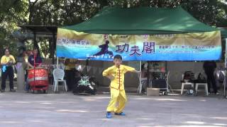 香港功夫表演20150405白鶴蔡李佛
