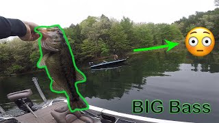 BIG Bass In Shallow Water! (Beltzville Lake)