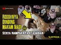 Dinding makam rasulullah  roboh yang terlihat darinya mengejutkan semua orang