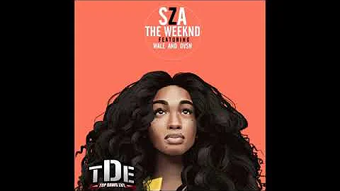 SZA - The Weekend (Remix) Ft. Wale & dvsn