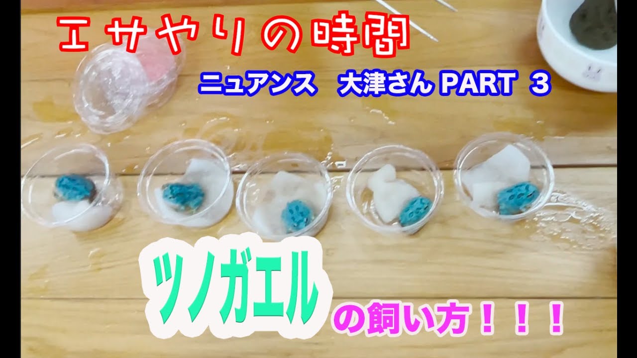 だっくす小峰ちゃんねる  茨城 ニュアンス 3