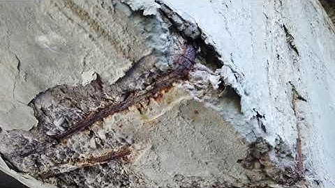 Machine-Learning Based Mobile App for Determining Corrosion