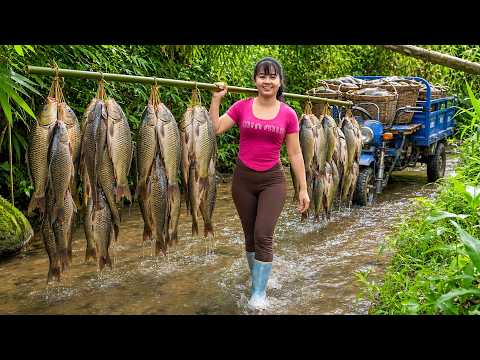 Rural Couple Story | Harvesting Giant Fish With Local Breeder - قصة ريفية صيد أسماك ضخمة