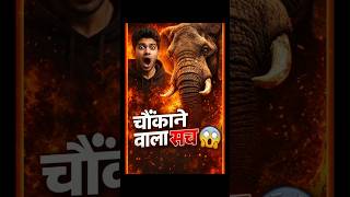 🤫 क्या आप जानते हैं कि.. हाथी क्या-क्या कर सकते हैं..#trending#facts#viral#factmaster#🤬🤫