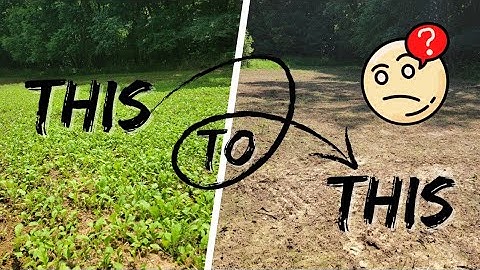 Foodplot Bust.. Armyworm Infestation