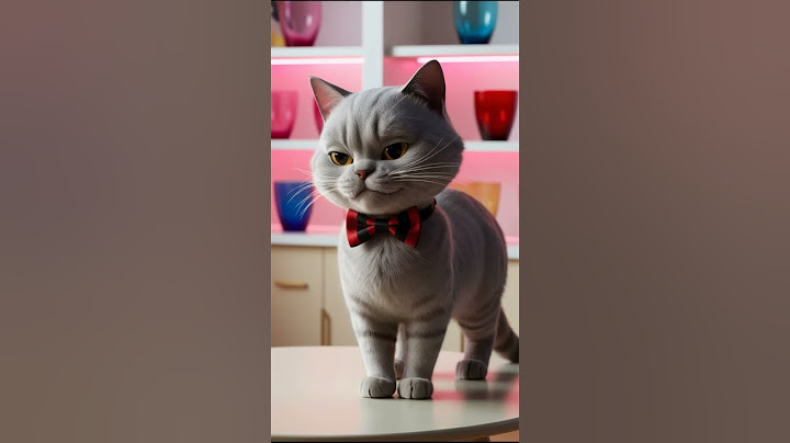 The cat broke the girl's glass😍😸Please subscribe and support🙏 #cutecats