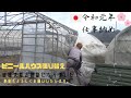 【ビニールハウス張り替え】仕事納め！皆様今年は大変お世話になりました！