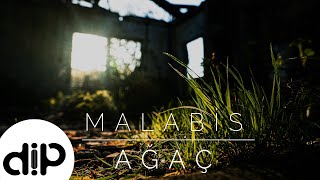 Malabis - Ağaç (Official Lyric Video) Resimi