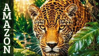 Secrets of the Amazon: Rare Animals in the World's Largest Rainforest