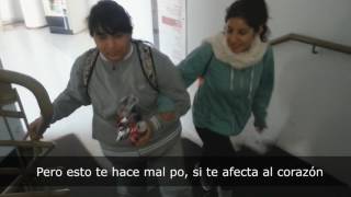 Del programa cardiovascular descripcion