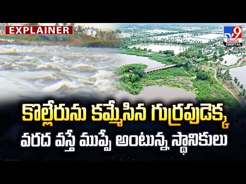 Explainer :  కొల్లేరును కమ్మేసిన గుర్రపుడెక్క...వరద వస్తే ముప్పే అంటున్న స్థానికులు - TV9 - TV9