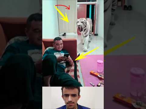 غالبا موقف واحد كفيل بأن يجعلك تضع نقطة انتهاء لنفسك عندما تاتيك الصدمه  11
