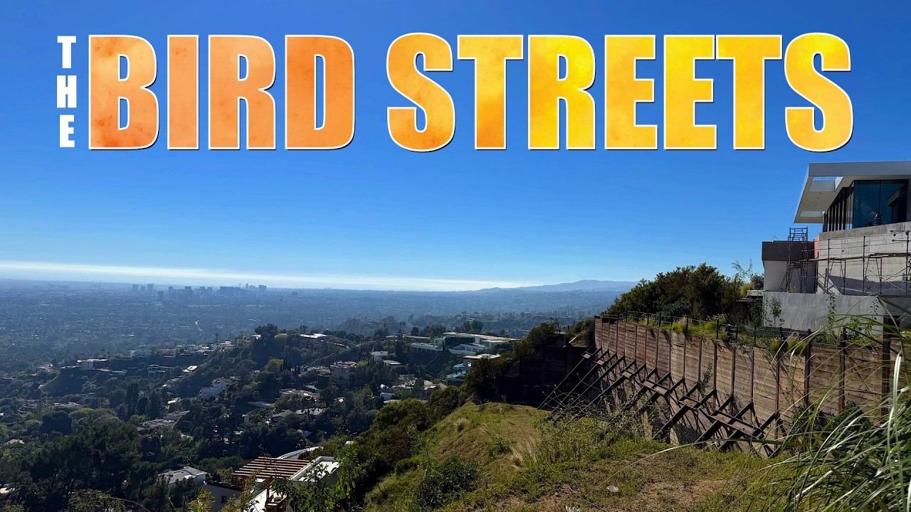 The Bird Streets of West Hollywood Hills