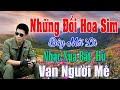 Những Đồi Hoa Sim, Nó Và Tôi…Liên Khúc Rumba Hải Ngoại Vượt Thời Gian, Đắm Say Bao Thế Hệ