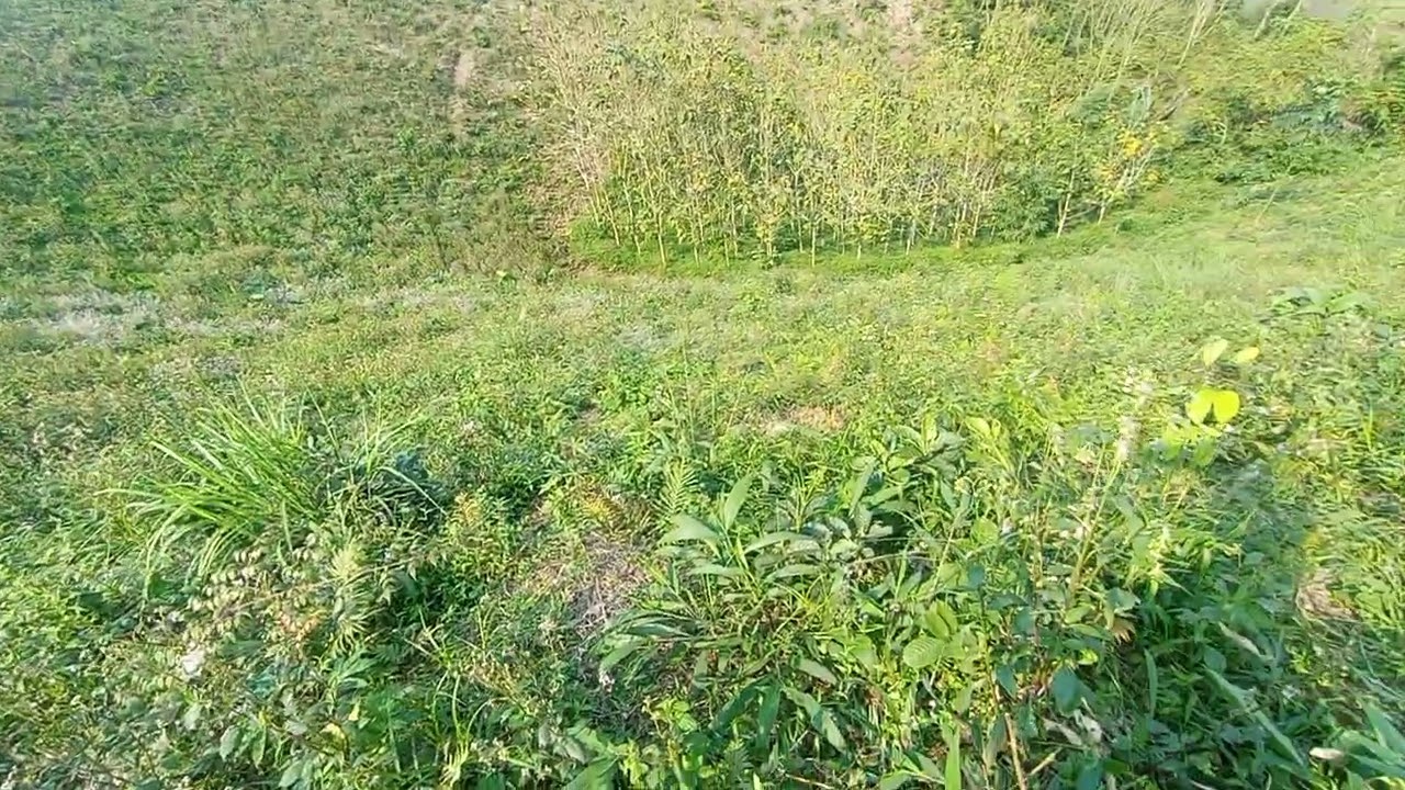  Hẹn các e 3 tháng sau trở về!