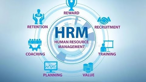 Mastering Human Resource Management - Key Principles and Practices (18 Minutes)