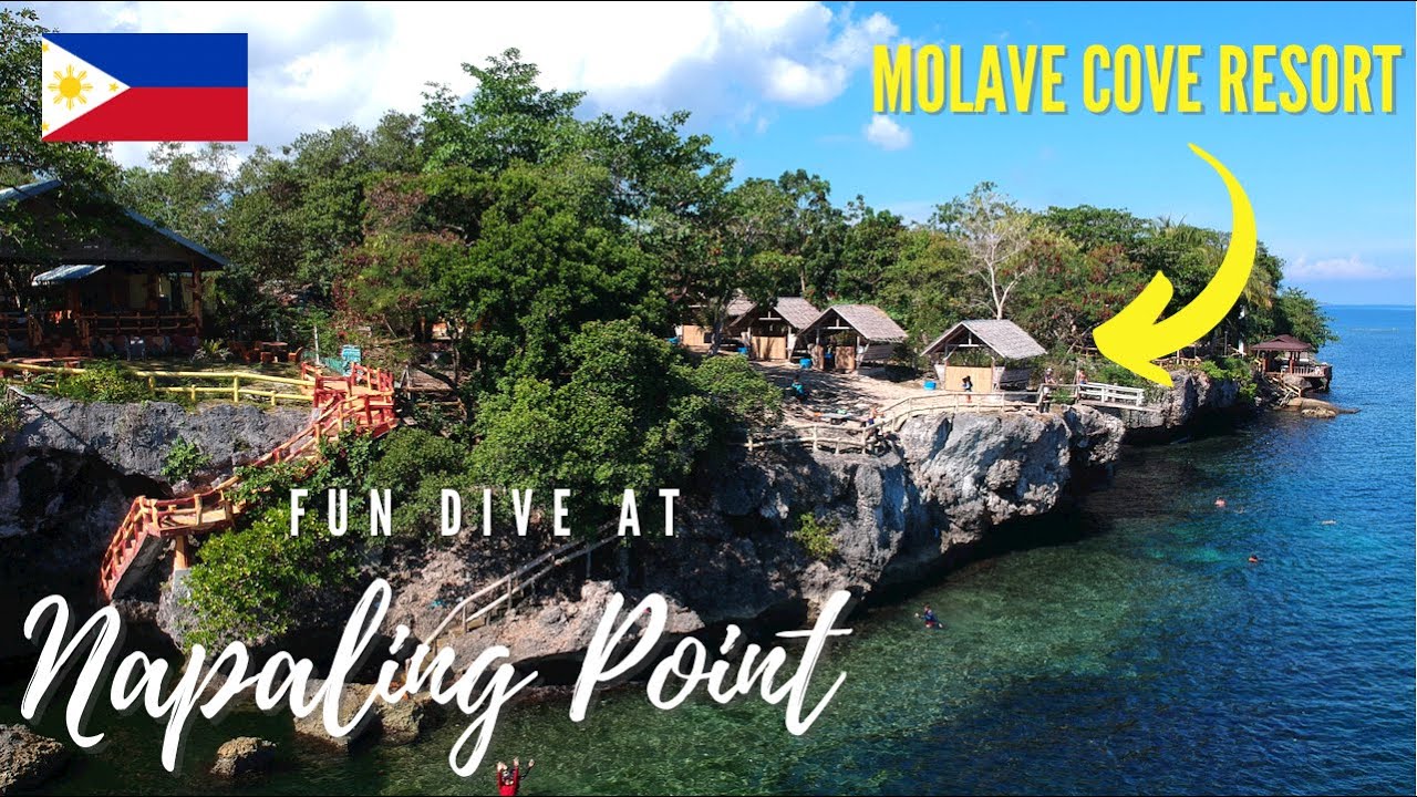 FUN DIVE at NAPALING POINT 2021 Molave Cove Resort, Bohol Philippines