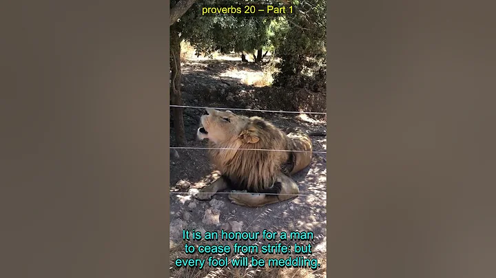 Proverbs 20 Explained: Wisdom, Foolishness & Life Lessons | Bible Study Insights