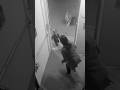 Mom’s Quick Reflex Saves Her Baby From a Tiger Attack! 🐅😱 #horror #halloween #horrortok #scary