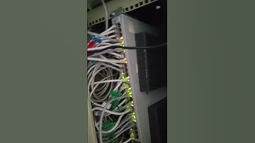 cisco switch lights blinking