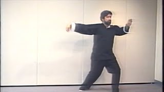 Complete 37 Yang Tai Chi Form - Front View