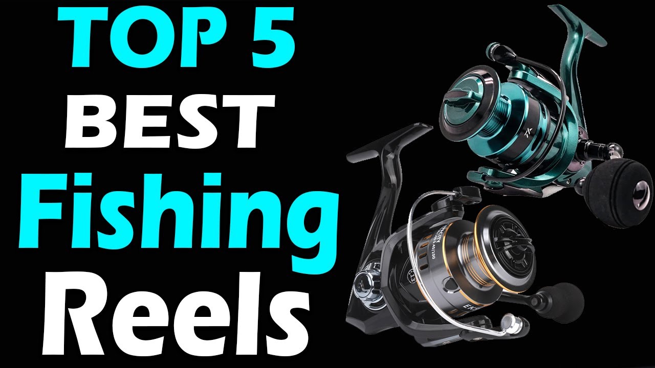 TOP 5 Best Fishing Reels Review In 2024 - YouTube