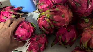 Dragon fruits  between 4-12 for 100.00. 363-2513