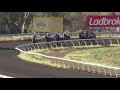 View race 6 video for 2020-04-04