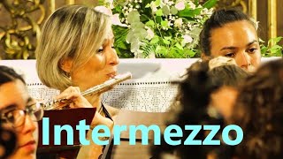 Bizet: Carmen - Intermezzo - Festival Chamber Orchestra of Europe · Horst Sohm