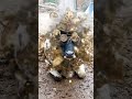 #trending #funny #lion #comedyfilms