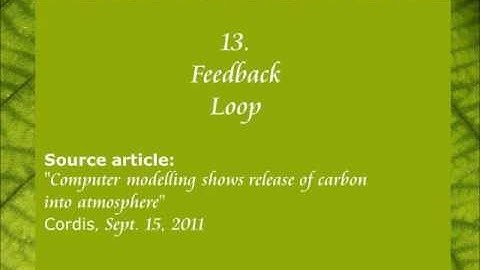 13. Feedback Loop