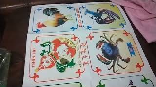 CHINESE NEW YEAR BAU CUA 2022 SO MUCH FUN screenshot 2
