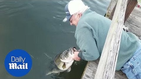 Man Catches a Bass with His Hands - Daily Mail