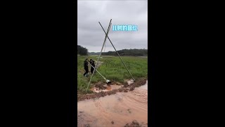 Childhood memories, no longer young #Life Hacks #Rural Lifestyle #Content Inspiration