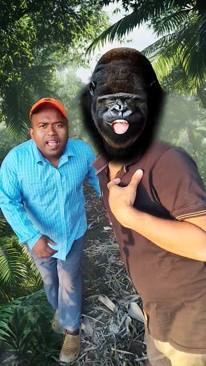 I Met a Gorilla and I Escaped🦍😱#bushcraft#camping#outdoors