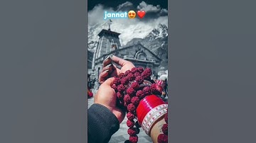 Kedarnath status video 🤞 Mahadev status ❣️ bholenath status 💫 shiv status #mahadev #shorts