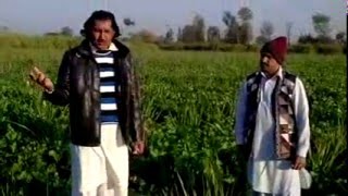 Organic Agriculture by Fazal Hussain and Sharafat