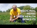 Top Medicinal Herbs, Medicinal Uses and Health Benefits