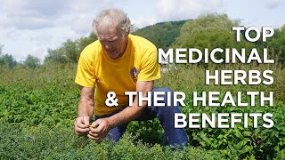 Top Medicinal Herbs, Medicinal Uses and Health Benefits