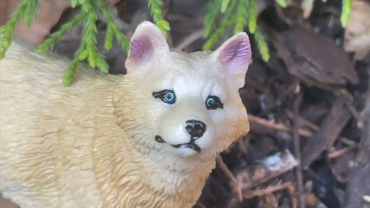 Wild Friends S1 E4 The Final Battle (part 1)