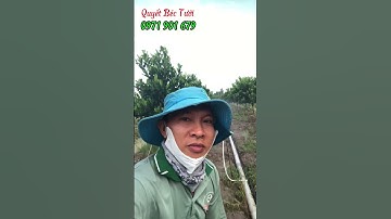 Nhận thi công lắp dặt hệ thống tưới tự động#quyetbectuoi