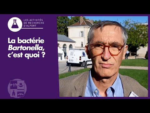 Vidéo: Bactériémie De Bartonella Henselae Chez Une Mère Et Son Fils Potentiellement Associée à Une Exposition Aux Tiques