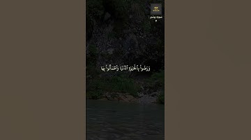 سورة يونس   7   محمد صديق المنشاوى
