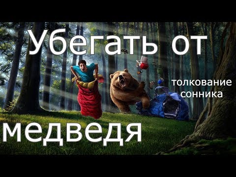 Убегать от медведя - толкование сонника