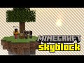 Navelya Skyblock Açıldı! - Minecraft Skyblock Sunucusu